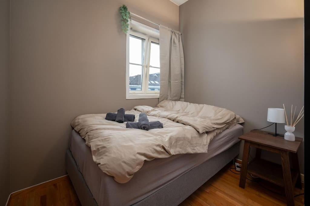 Studio Apt In City Centre 트론헤임 외부 사진